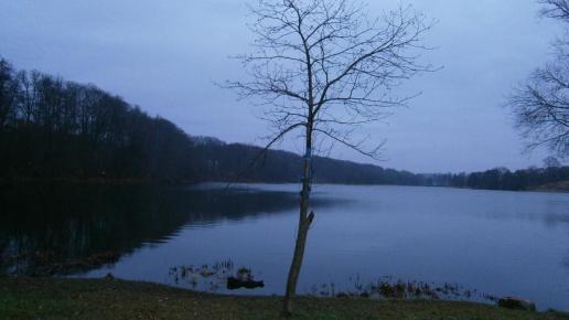 Jezioro Klasztorne Małe, Danusia