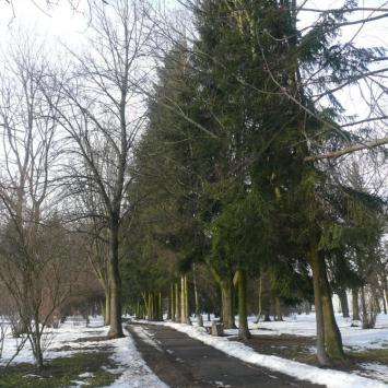 Wyszków - park Karola Ferdynanda Wazy, Staszek Łuć