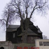 Buk Drewniany zabytkowy koscioł, Barsolis Karol Turysta Kulturowy