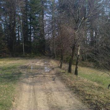 W stronę Krzeszowa-szlak czerwony, DoRi