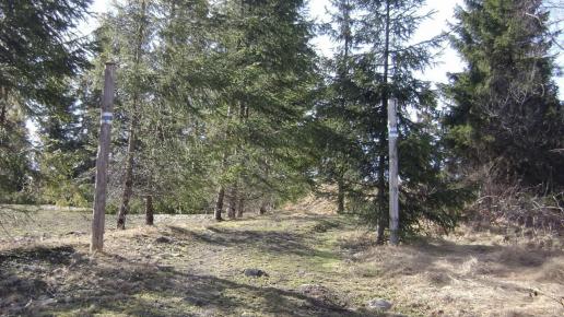 Szlaczek niebieski, DoRi