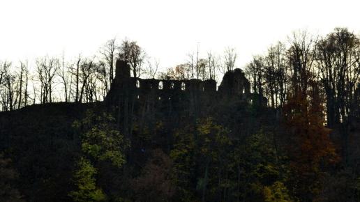 W drodze do Starego Książa, MelanosChole