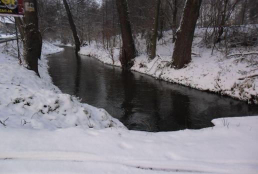 Rzeka Wirenka , Barsolis Karol Turysta Kulturowy