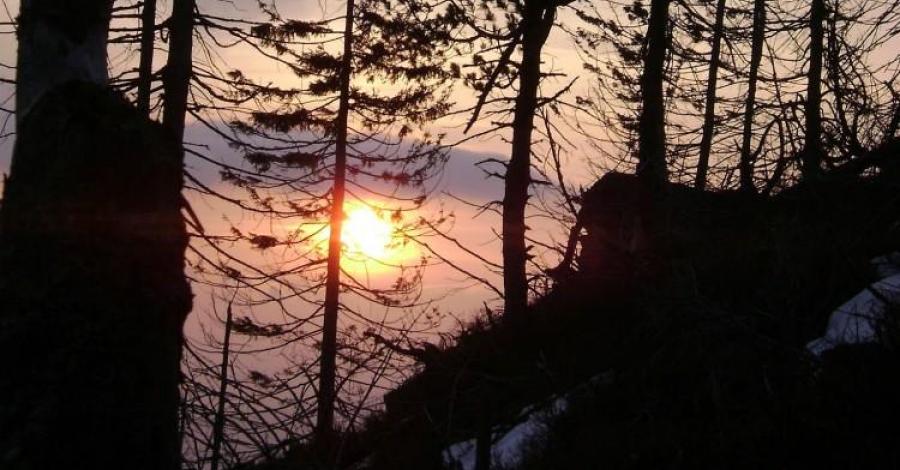 Wschód Słońca na Baraniej Górze - zdjęcie