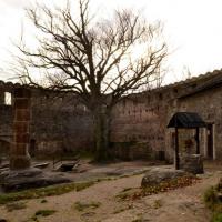 , MelanosChole