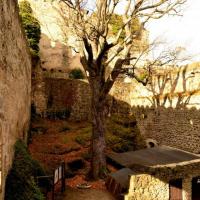 , MelanosChole