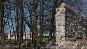 Mury w Strzelcach Opolskich - zdjęcie