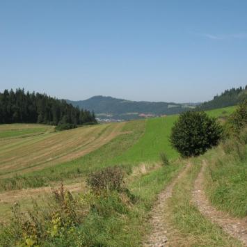 z drogi do Sromowców, Maciej A