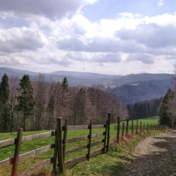 Widok na Beskid Żywiecki, DoRi