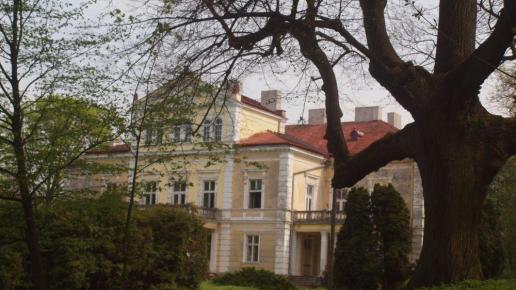 Pałac Raczyńskich, Tadeusz Walkowicz