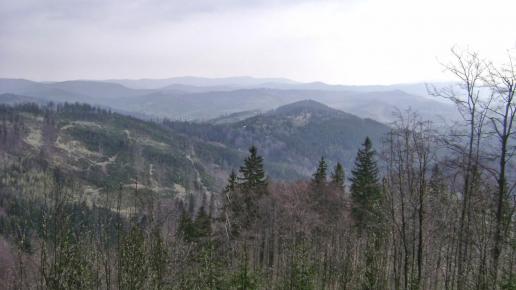 Widok ze szczytu Wielkiego Stożka na stronę czeską gór :), DoRi