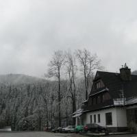Kuźnice- parking, Danuta