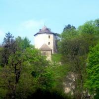 ruiny zamku rycerskiego w Ojcowie, Roman Świątkowski
