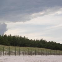 Karwieńska plaża- widok na drzewa iglaste, Marcin_Henioo