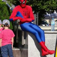 Spiderman urwał się z premiery filmu, Marcin_Henioo