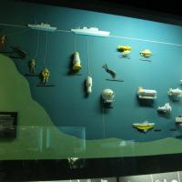 W Oceanarium, Marcin_Henioo