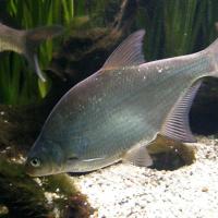 W Oceanarium, Marcin_Henioo