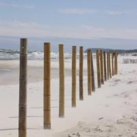 Karwieńska plaża- paliki wbite w plażę, Marcin_Henioo