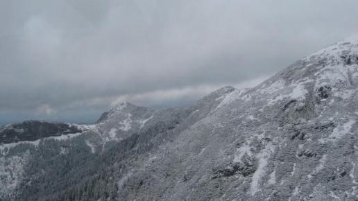 , Danuta