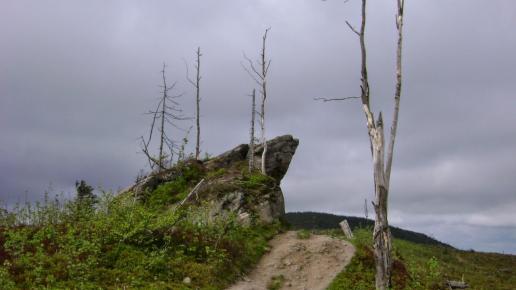 W stronę Magurki Wiślańskiej, DoRi