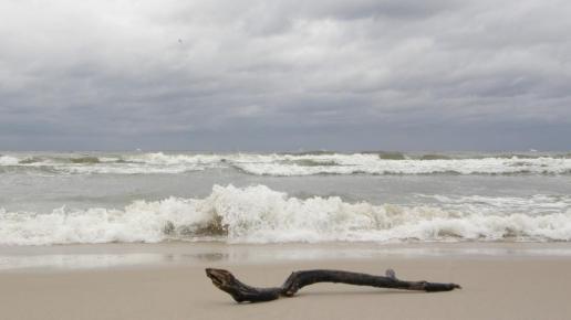 Karwieńska plaża- wyrzucony na brzeg, Marcin_Henioo