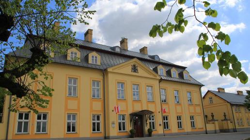 Pałac Kotulińskich Czechowice Dziedzice