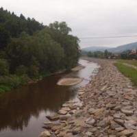 Rzeka Paleczka w Zembrzycach, Tadeusz Walkowicz