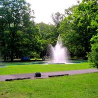 fontanna w parku, Roman Świątkowski