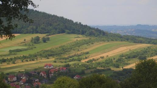 Pola nad Myslenicami, Tadeusz Walkowicz