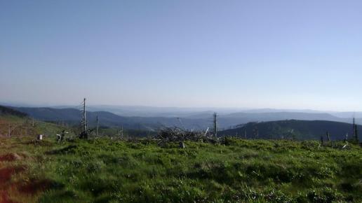 Panorama na szlaku w stronę Malinowskiej Skały, DoRi