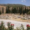 główna droga Hierapolis, Danusia