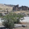 ruiny Hierapolis, Danusia