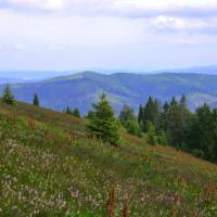 Widok na Tatry z H.Gawłowskiej, DoRi