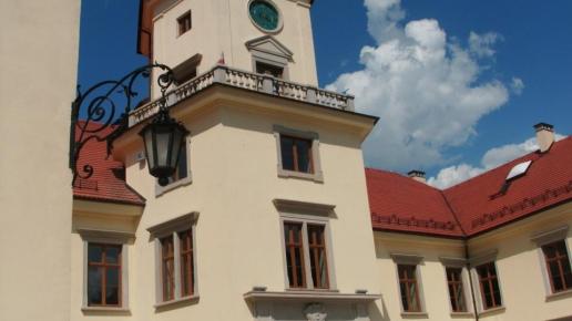 Pałac w Tarnobrzegu, mokunka