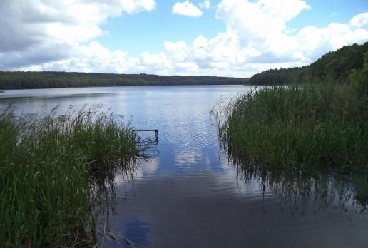 jezioro Obłęskie, Danusia