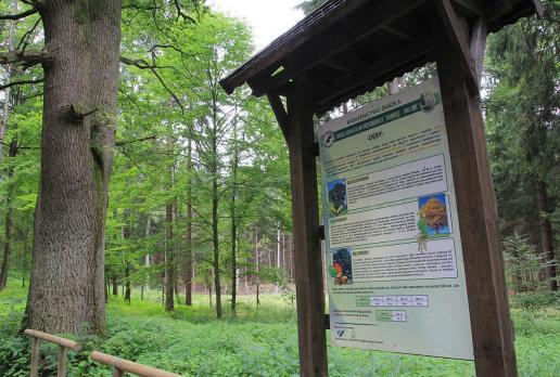Rudawski Park Krajobrazowy