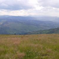, Turysta
