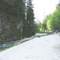 , wojtek