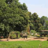 zoo w Parku Śląskim