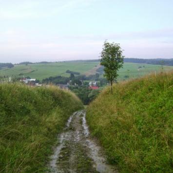 Dz9: Mochnaczka Niżna-Beskid Niski, DoRi