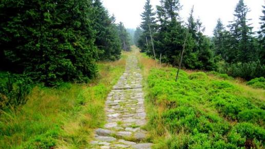 ścieżka szlaku zielonego prowadzaca z Vosecka bouda, Roman Świątkowski