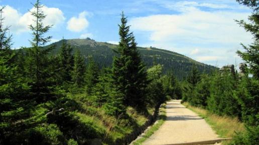 podejście szlakiem żółtym - widok na Szrenicę , Roman Świątkowski