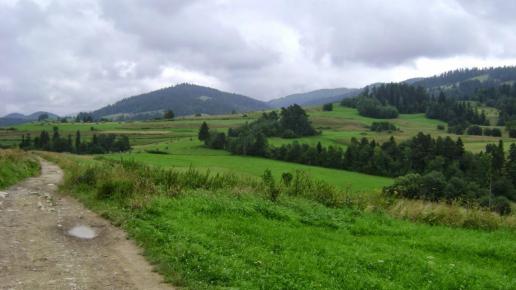 Dz6: W stronę Maciejowej, DoRi