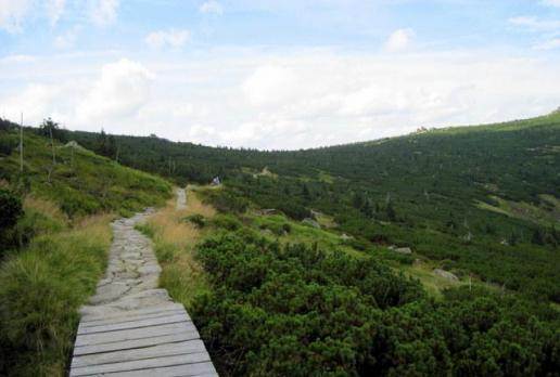 Mokra droga szlak zielony prowadzacy ze schr. Pod Łabskim szczytem na Mokrą Przełęcz, Roman Świątkowski
