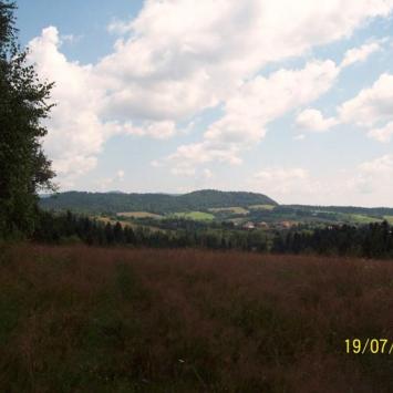 , roberttof