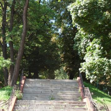Park Miejski w Dzierżoniowie, mokunka