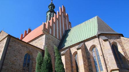 Kościół Św. Zygmunta w Szydłowcu - zdjęcie