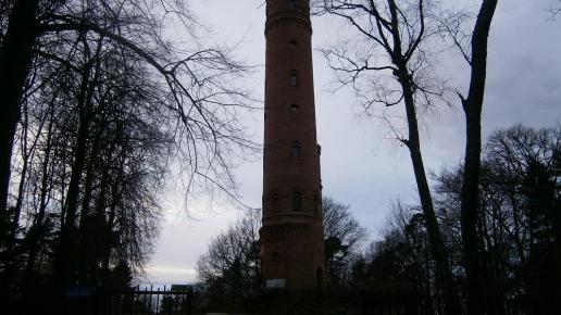 Wieża widokowa na Górze Chełmskiej, Danusia