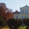 Pałac Raczyńskich w kolorach jesieni, Tadeusz Walkowicz