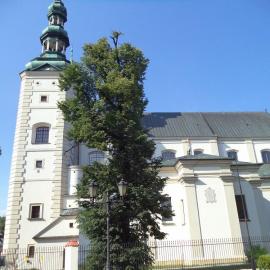 Katedra w Łowiczu, Danusia